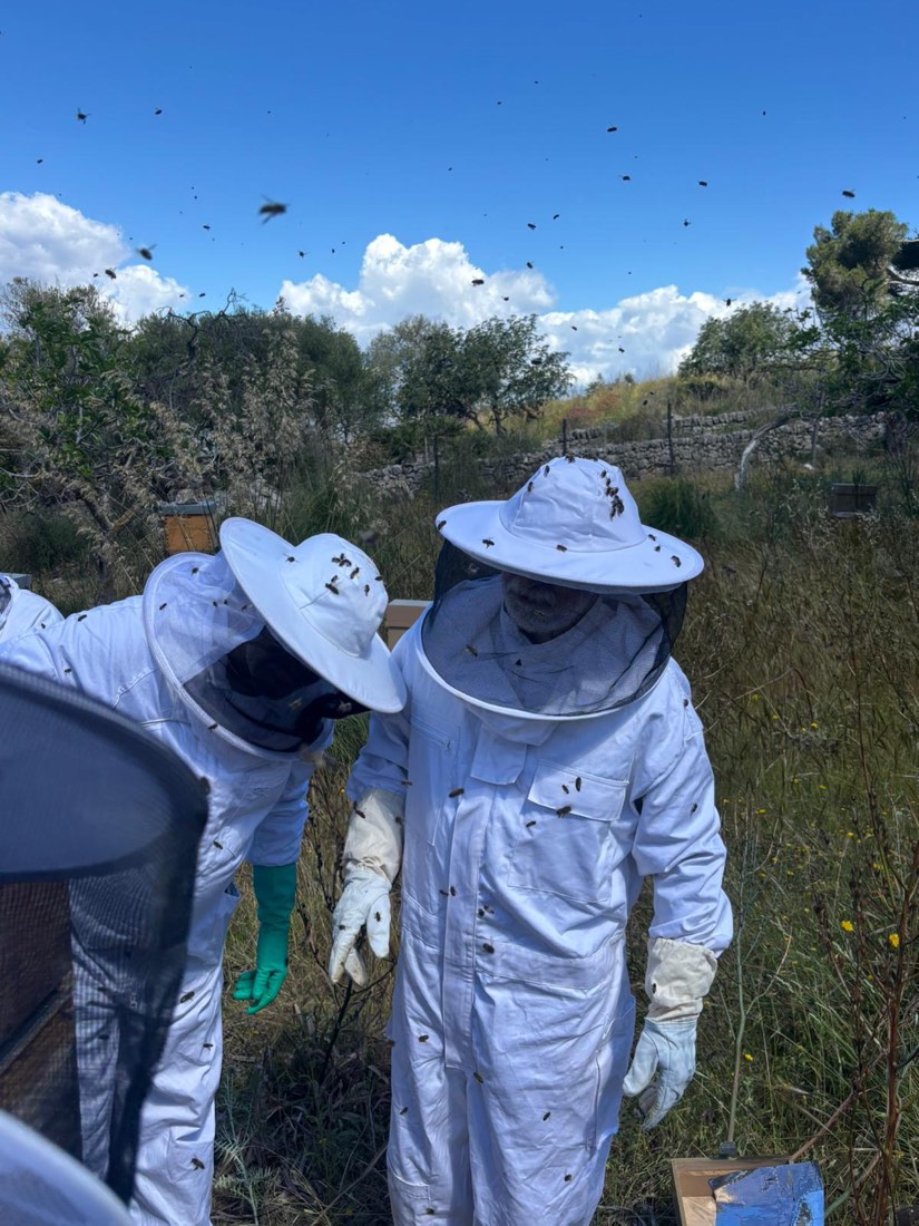 Bees