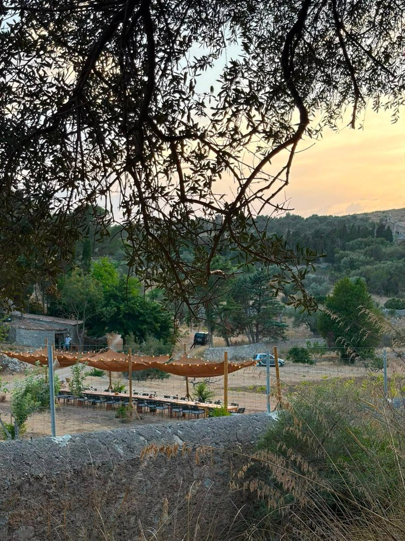 A table among the olive trees at Ermita de Betlem