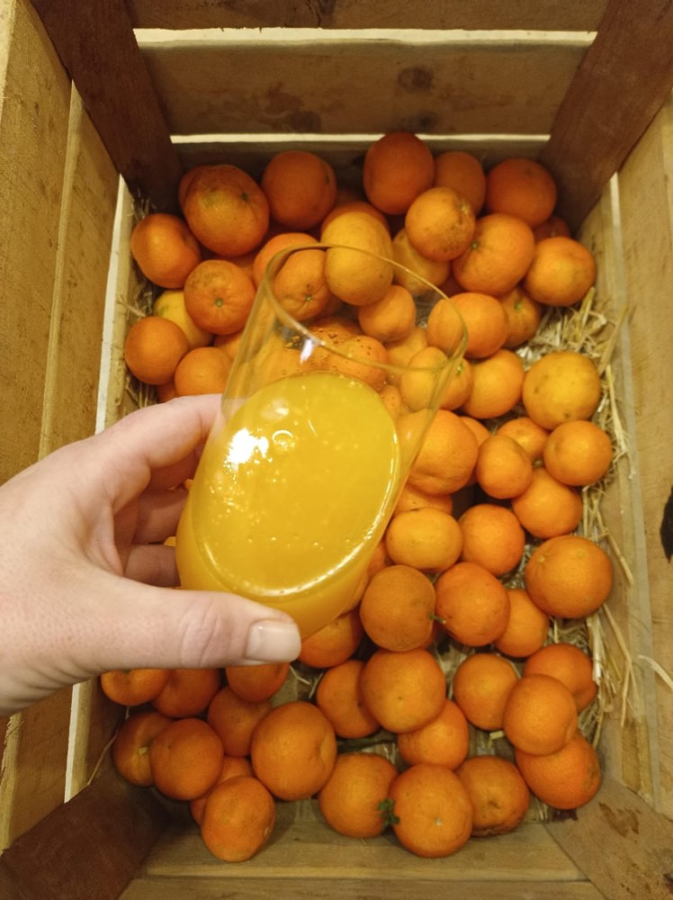 Oranges from our land